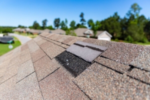 Roof Inspection